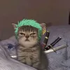 nonozin666