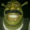 sherek.bigodudo.f