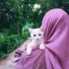Maw Api