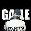 gallesfutureproducer
