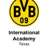 BVB13GYELLOWPRE-ECNL