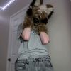 stupidgaymutt