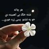 zoyakhn61