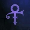 paisleypark928