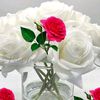 areejfatima9737