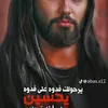 ali732646