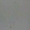 user2627746162877