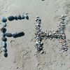 its_your_fev