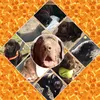 ted_the_terrorist
