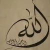 arslan20mg