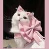cat.22.2