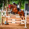 eq.bebella