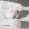 you57587