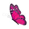 pink.butterfly58