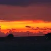 bungbangdn1