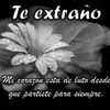 alexa.ruiz02