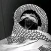 rizwanboxer0
