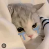 quyn_huog0405