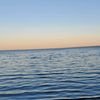 albertahabslover1