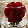 user9072524660700