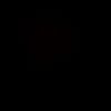 its_enis2