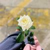 fatema.mustafa02