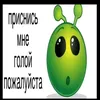 gav_gav148812