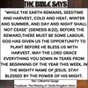 blessing.nyamekye
