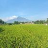 minang7647