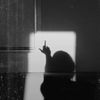 hidingfromstrangerss