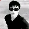 8._zl