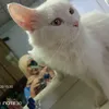 sunosmom