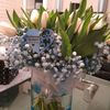alina.ala85