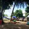 tayhuynh74