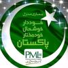 sayyam.liaqat.pmln