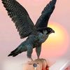 user9880331951173