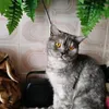 user30200927823033