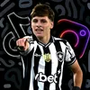 werlimario