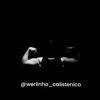 werlinho_calistenico