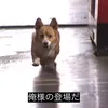 hinata_ogorira.com