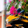 mdtushar7241