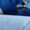 gljiva00