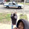 lilgufikruio