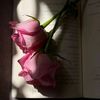 sujoodj_19