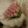heba23274