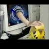 ilove_hamster_and_parrot