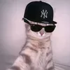hwoyyd