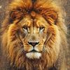 lovelysultan111