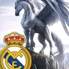 user3306956137575