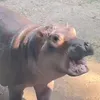 oskaaaar2